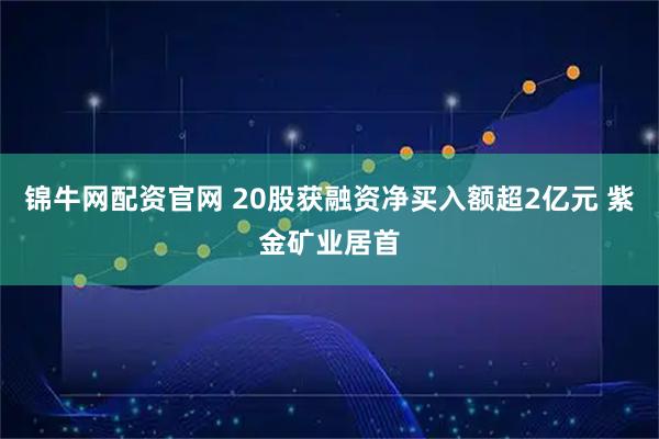 锦牛网配资官网 20股获融资净买入额超2亿元 紫金矿业居首