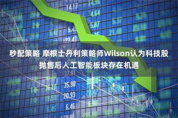秒配策略 摩根士丹利策略师Wilson认为科技股抛售后人工智能板块存在机遇